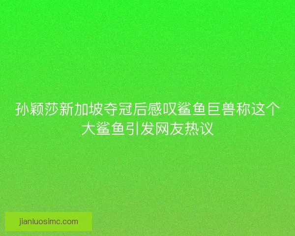 孙颖莎新加坡夺冠后感叹鲨鱼巨兽称这个大鲨鱼引发网友热议