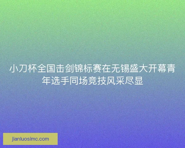 小刀杯全国击剑锦标赛在无锡盛大开幕青年选手同场竞技风采尽显 小刀杯全国击剑锦标赛在无锡盛大开幕青年选手同场竞技风采尽显
